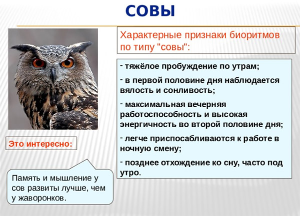 совы