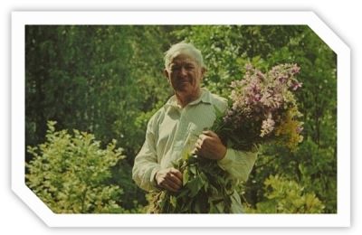 Аркадий Пластов