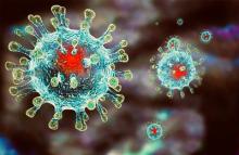 Краткая характеристика COronaVIrus Disease 2019 (COVID-19) и его сравнение с сезонным гриппом
