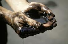 Нефть и нефтепродукты